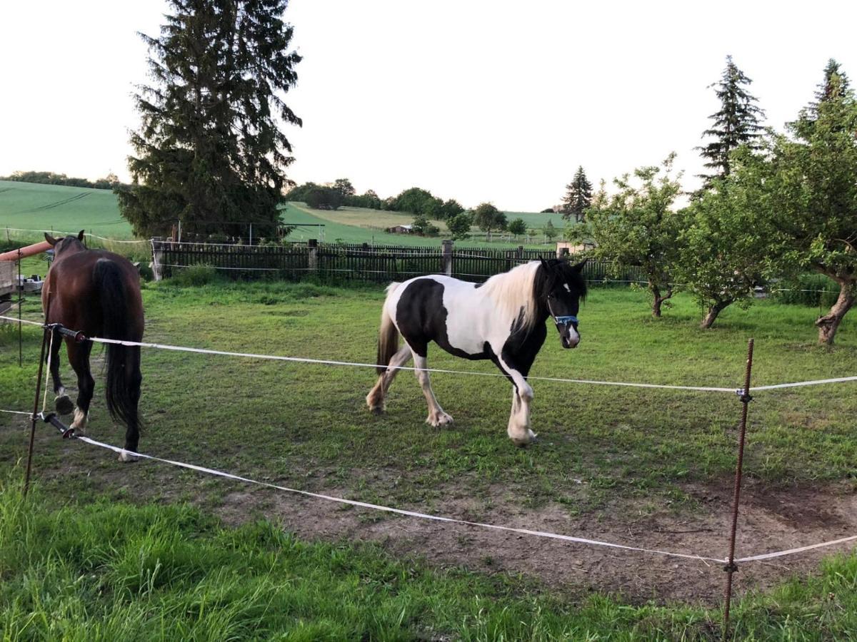 Ferienwohnung Gans Auguste Dohna Esterno foto