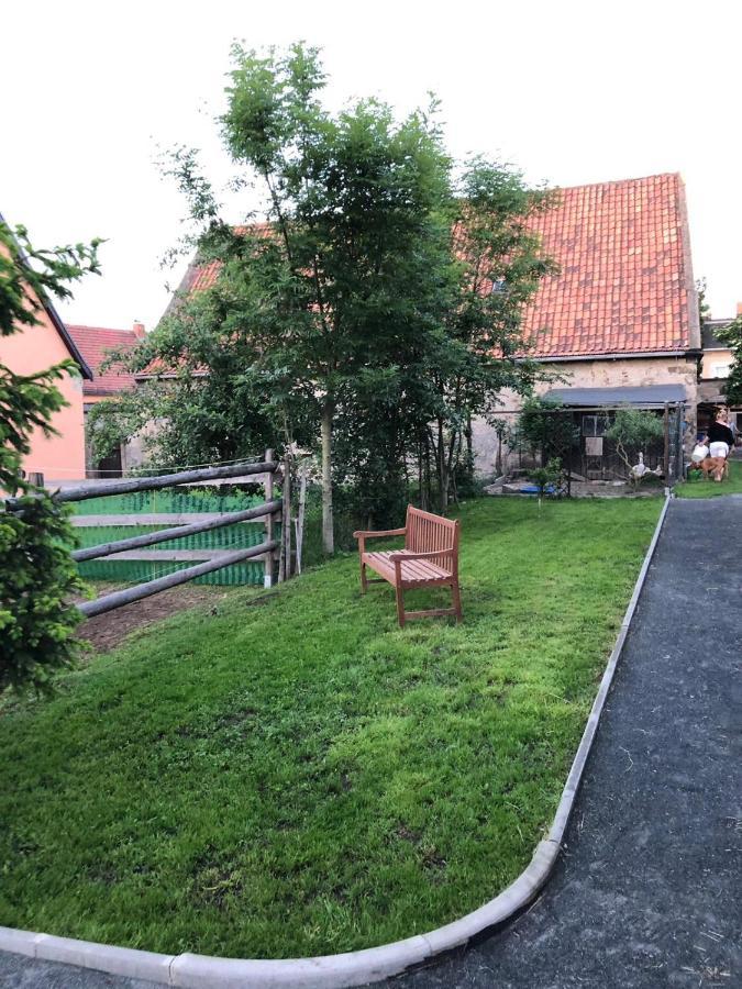 Ferienwohnung Gans Auguste Dohna Esterno foto