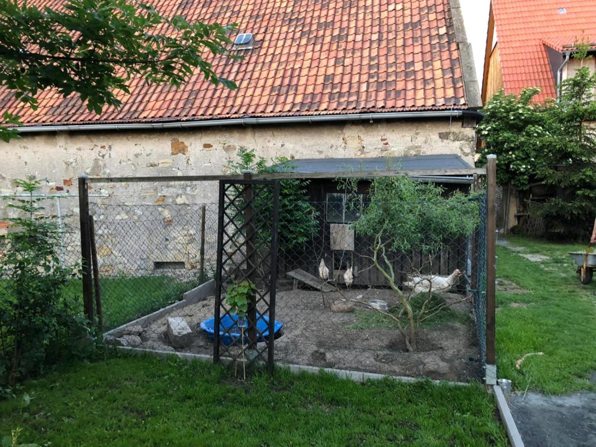 Ferienwohnung Gans Auguste Dohna Esterno foto